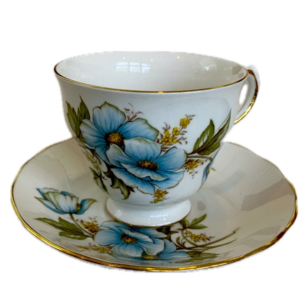Queen Anne bone China teacup & saucer, Wild Blue Roses, #8618, blue/green/white